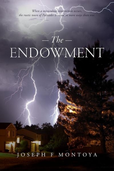 Produktbild: The Endowment