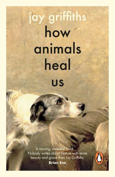 Produktbild: How Animals Heal Us