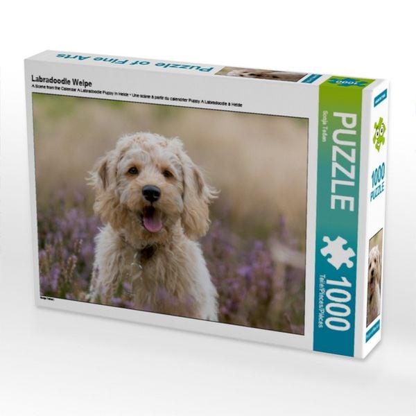 CALVENDO Puzzle Labradoodle Welpe | 1000 Teile Lege-Größe 64x48cm Foto-Puzzle für glückliche Stunden