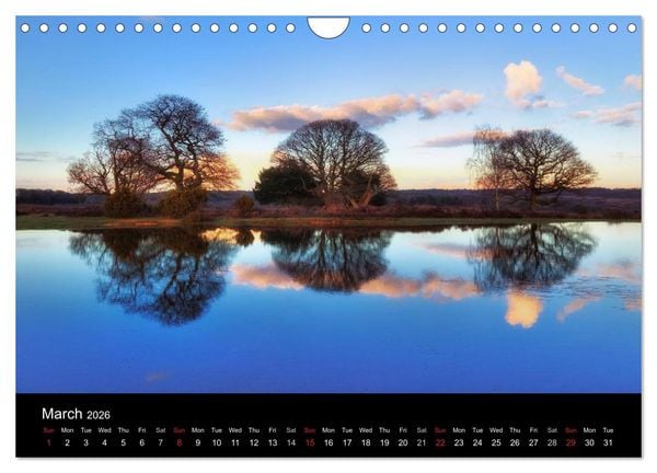 Produktbild: New Forest Hampshire (Wall Calendar 2026 DIN A4 landscape), CALVENDO 12 Month Wall Calendar