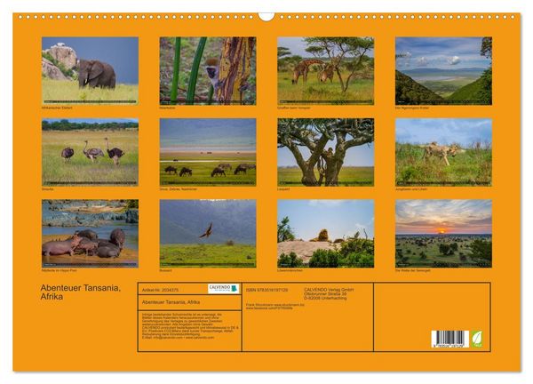 Produktbild: Abenteuer Tansania, Afrika (Wandkalender 2026 DIN A2 quer), CALVENDO Monatskalender