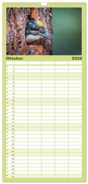 Produktbild: Familienplaner 2026 - Wildtierkalender mit 5 Spalten (Wandkalender, 21 x 45 cm) CALVENDO