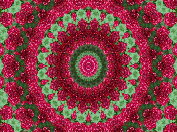 Produktbild: CALVENDO Puzzle Blumen Mandala - Kaleidoskop | 1000 Teile Lege-Gr&ouml;&szlig;e 64x48cm Foto-Puzzle f&uuml;r gl&uuml;ckliche Stunden