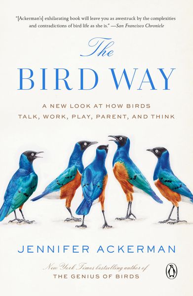 Produktbild: The Bird Way