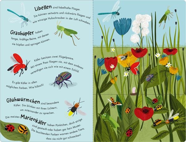 Produktbild: Bienen & K&auml;fer &ndash; Ein Klipp-Klapp-Buch &uuml;ber Krabbeltiere