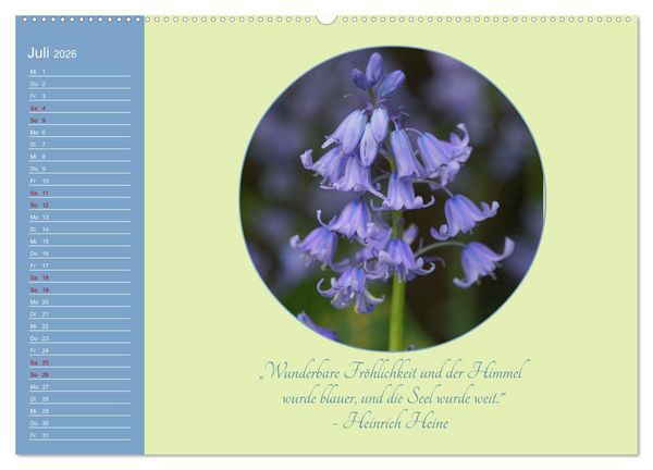 Produktbild: Flora in royalem Blau (hochwertiger Premium Wandkalender 2026 DIN A2 quer), Kunstdruck in Hochglanz