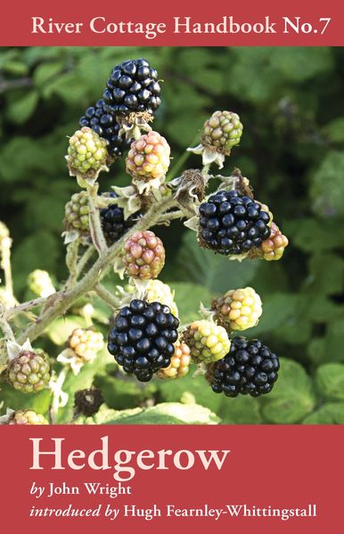 Produktbild: Hedgerow