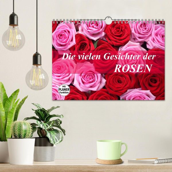 Produktbild: Die vielen Gesichter der Rosen (Wandkalender 2026 DIN A4 quer), CALVENDO Monatskalender