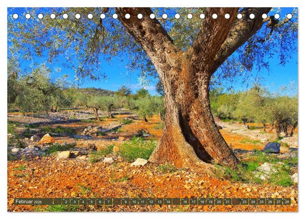 Produktbild: Costa del Azahar - K&uuml;ste der Orangenbl&uuml;te (Tischkalender 2026 DIN A5 quer), CALVENDO Monatskalender