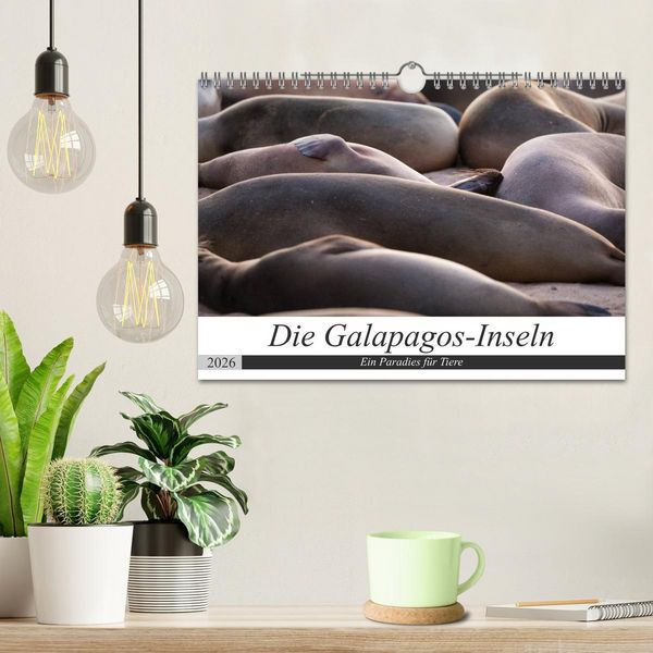 Produktbild: Galapagos-Inseln - Ein Paradies f&uuml;r Tiere (Wandkalender 2026 DIN A4 quer), CALVENDO Monatskalender