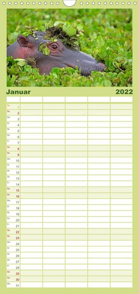 Produktbild: Flusspferde Magie des Augenblicks - Hippos in Afrika - Familienplaner hoch (Wandkalender 2022 , 21 cm x 45 cm, hoch)