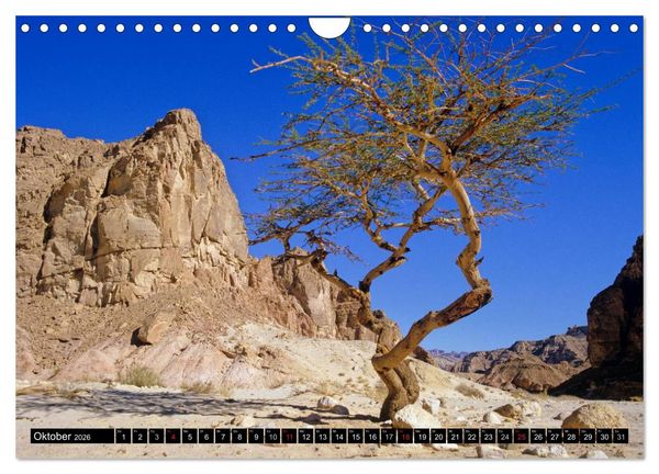 Produktbild: Sinai - Landschaft aus Fels und Sand (Wandkalender 2026 DIN A4 quer), CALVENDO Monatskalender