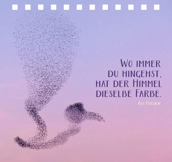 Produktbild: Jeder Tag ist voller kleiner Wunder