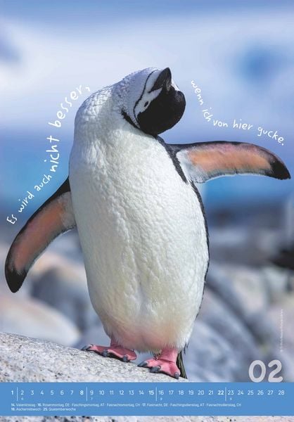 Produktbild: Tierisch cool! 2026 - Bild-Kalender 23,7x34 cm - mit lustigen Sprüchen - Humor - Wandkalender - mit Platz für Notizen - Alpha Edition