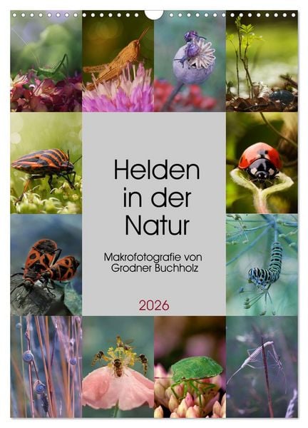 Produktbild: Helden in der Natur (Wandkalender 2026 DIN A3 hoch), CALVENDO Monatskalender
