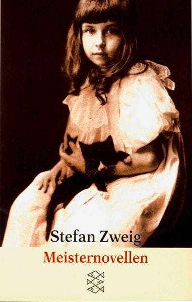 Produktbild: Meisternovellen
