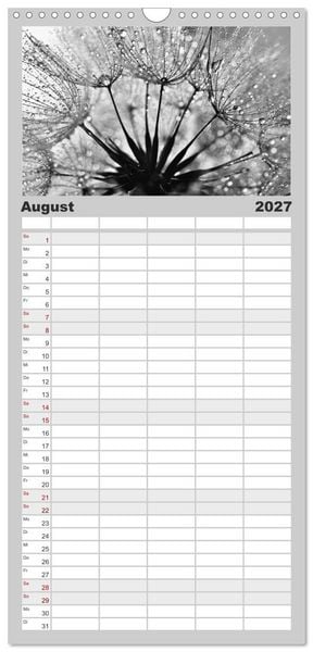 Produktbild: Familienplaner 2027 - Pusteblume - Impressionen in schwarzwei&szlig; mit 5 Spalten (Wandkalender, 21 x 45 cm) CALVENDO