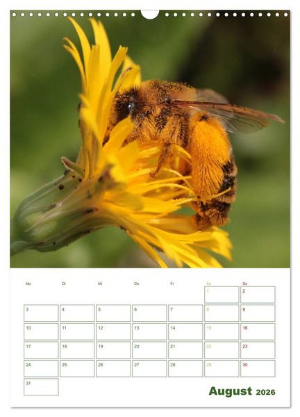 Produktbild: Bienen-Terminplaner 2026 (Wandkalender 2026 DIN A3 hoch), CALVENDO Monatskalender