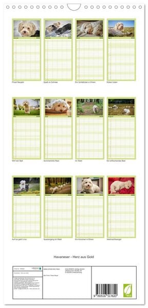 Produktbild: Familienplaner 2026 - Havaneser - Herz aus Gold mit 5 Spalten (Wandkalender, 21 x 45 cm) CALVENDO
