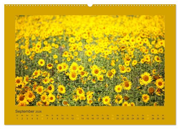 Produktbild: 12 Farben (hochwertiger Premium Wandkalender 2026 DIN A2 quer), Kunstdruck in Hochglanz
