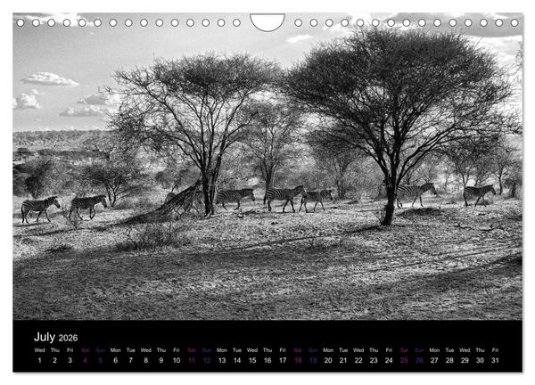Produktbild: East Africa - Tanzania and Kenya / UK-Version (Wall Calendar 2026 DIN A4 landscape), CALVENDO 12 Month Wall Calendar