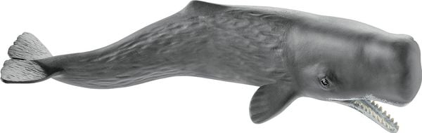 Schleich - Wild Life - Pottwal