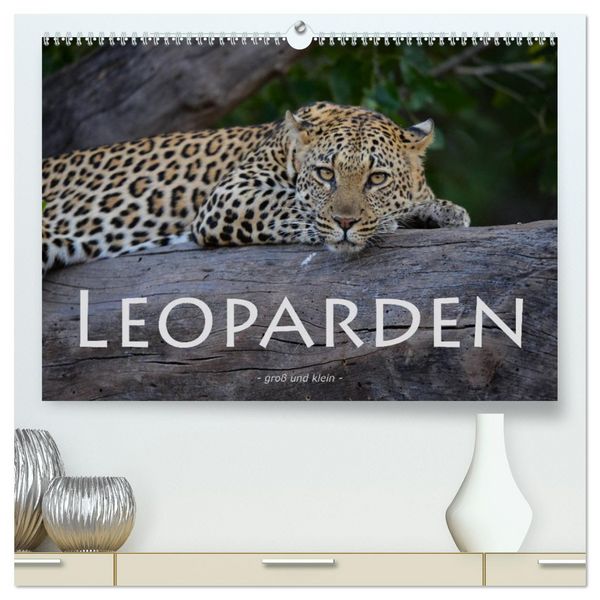 Produktbild: Leoparden - gro&szlig; und klein (hochwertiger Premium Wandkalender 2026 DIN A2 quer), Kunstdruck in Hochglanz
