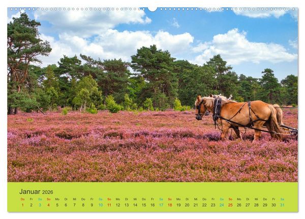 Produktbild: Die Heide bl&uuml;ht (hochwertiger Premium Wandkalender 2026 DIN A2 quer), Kunstdruck in Hochglanz