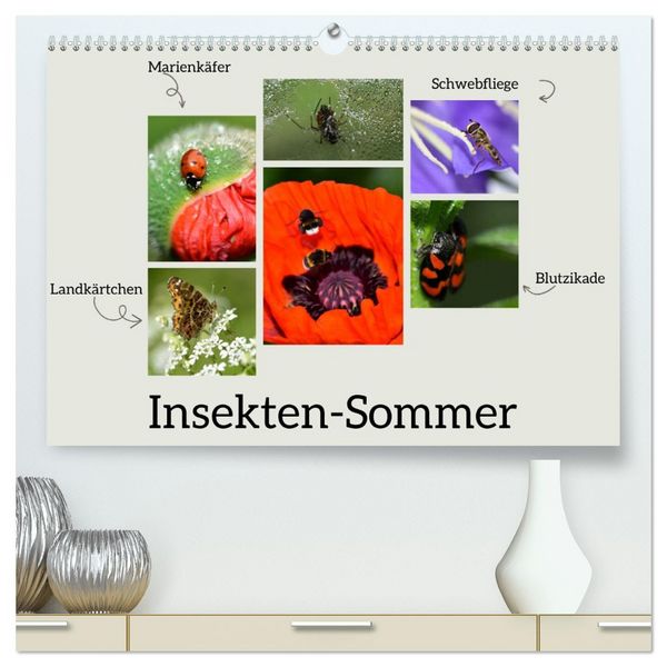 Insekten-Sommer (hochwertiger Premium Wandkalender 2026 DIN A2 quer), Kunstdruck in Hochglanz