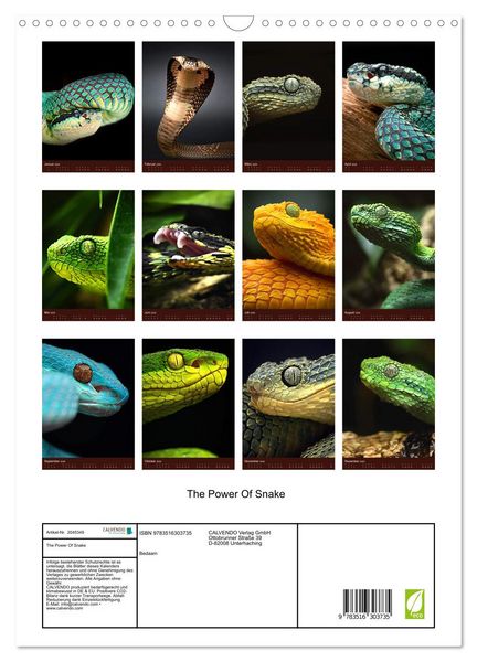 Produktbild: The Power Of Snake (Wandkalender 2026 DIN A3 hoch), CALVENDO Monatskalender