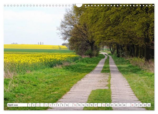 Produktbild: Vier Jahreszeiten im Land Brandenburg (Wandkalender 2026 DIN A3 quer), CALVENDO Monatskalender