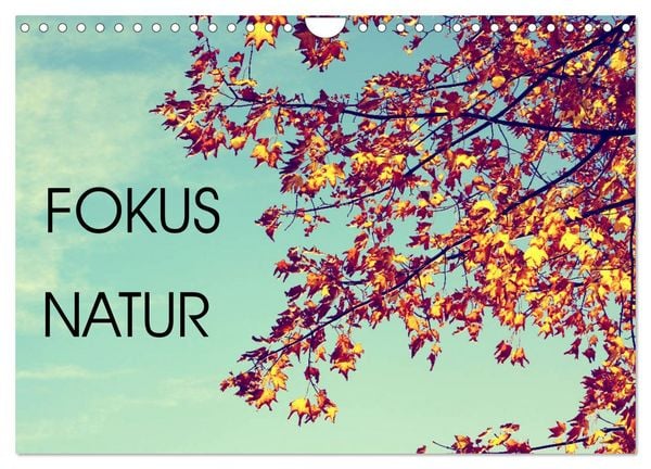 Produktbild: Focus Natur (Wandkalender 2026 DIN A4 quer), CALVENDO Monatskalender