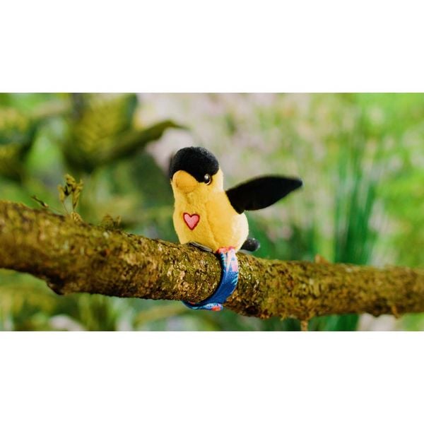 Produktbild: Happy Yappers Pirol