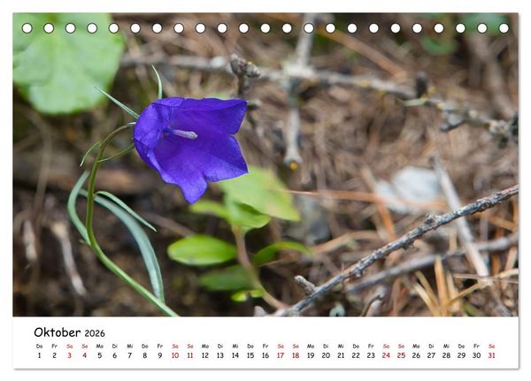 Produktbild: Zwischen Gipfeln und Geschichte - Der Vinschgau in Bildern (Tischkalender 2026 DIN A5 quer), CALVENDO Monatskalender