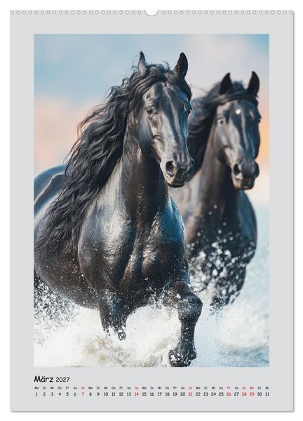 Produktbild: Friesenpferde. Schwarze Eleganz in der Natur (Wandkalender 2027 DIN A2 hoch), CALVENDO Monatskalender