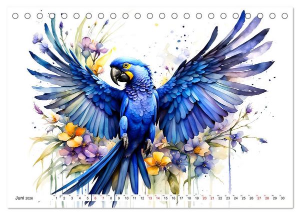 Produktbild: Papageien - Fliegende Edelsteine (Tischkalender 2026 DIN A5 quer), CALVENDO Monatskalender