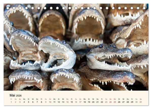 Produktbild: Sommer in New Orleans (Tischkalender 2026 DIN A5 quer), CALVENDO Monatskalender