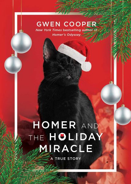 Produktbild: Homer and the Holiday Miracle