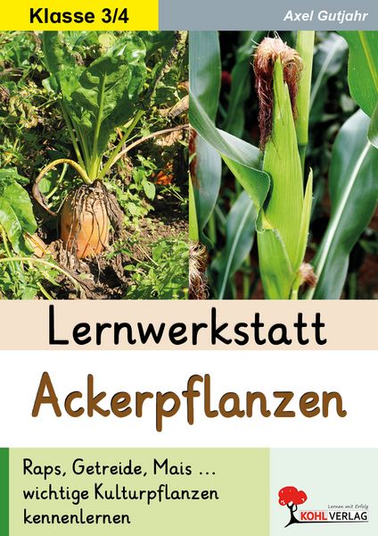Produktbild: Lernwerkstatt Ackerpflanzen