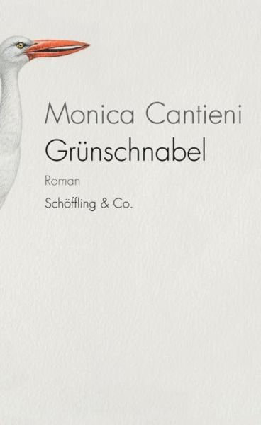 Grünschnabel, Gebundene Ausgabe von Monica Cantieni, Schöffling, 9783895613456