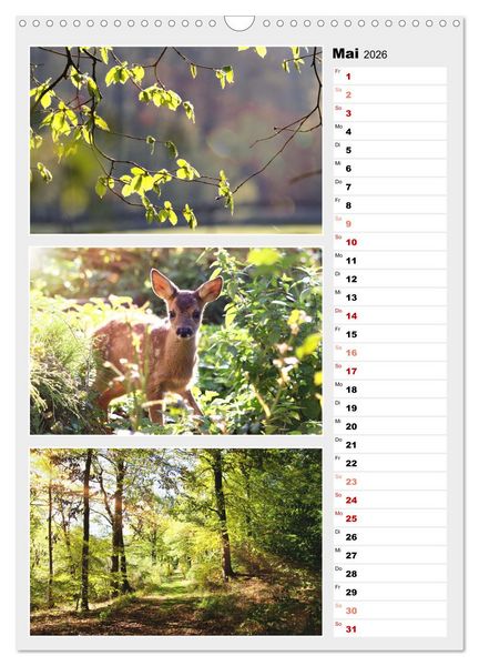 Produktbild: Zauberhafte Farben der Natur (Wandkalender 2026 DIN A3 hoch), CALVENDO Monatskalender