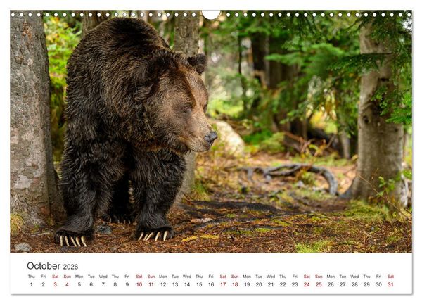 Produktbild: Wild Canada (Wall Calendar 2026 DIN A3 landscape), CALVENDO 12 Month Wall Calendar