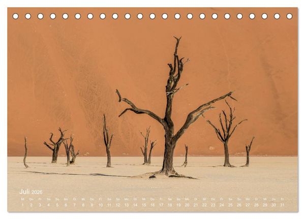Produktbild: Astrein! - Der Baumkalender 2026 (Tischkalender 2026 DIN A5 quer), CALVENDO Monatskalender