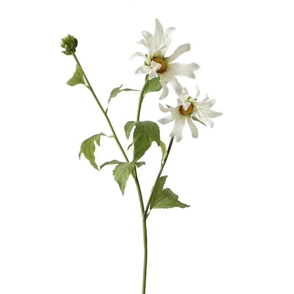 Produktbild: HTI-Living Chrysantheme 74 cm Weiss Chrysantheme 74 cm Weiss