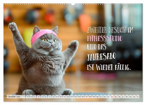 Produktbild: Katzenlogik - Wenn Blicke miauen k&ouml;nnten (hochwertiger Premium Wandkalender 2026 DIN A2 quer), Kunstdruck in Hochglanz