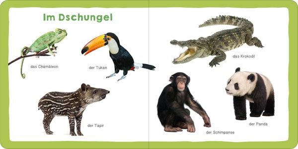 Produktbild: Meine ersten 100 Tiere