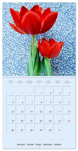 Produktbild: Tulipes &eacute;l&eacute;gantes (Calendrier mural carr&eacute; 2026 30x30 cm) Calendrier double avec une page pour vos prises de notes