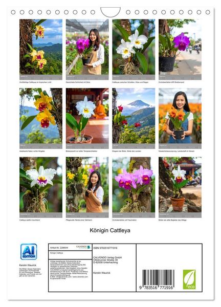 Produktbild: K&ouml;nigin Cattleya (Wandkalender 2027 DIN A4 hoch), CALVENDO Monatskalender