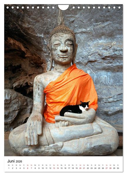 Produktbild: Buddhas im Gl&uuml;ck (Wandkalender 2026 DIN A4 hoch), CALVENDO Monatskalender