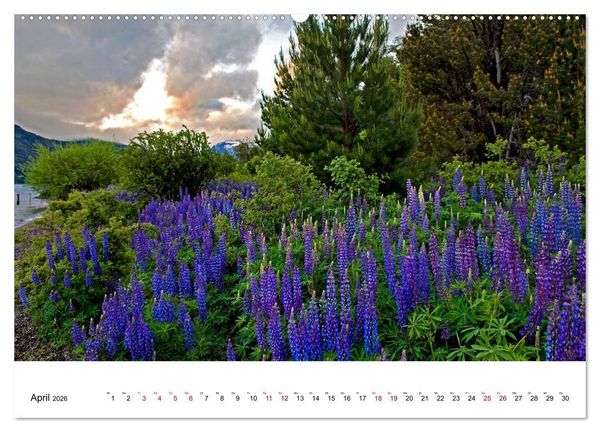Produktbild: Faszinierendes Patagonien (hochwertiger Premium Wandkalender 2026 DIN A2 quer), Kunstdruck in Hochglanz